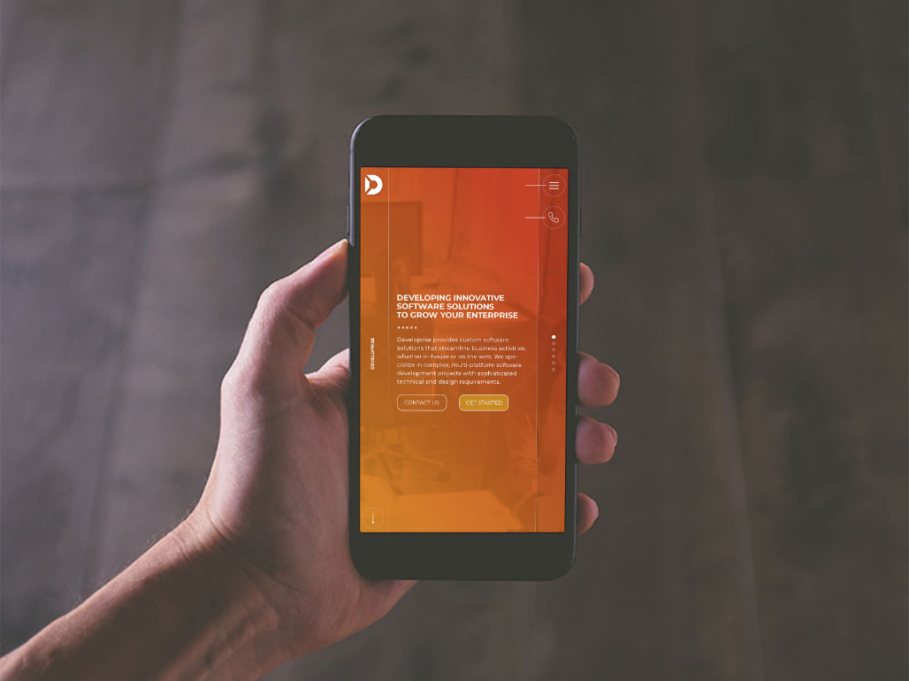Developrise Mockup@2x